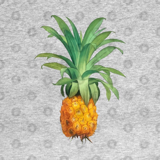 Pineapple by CatyArte